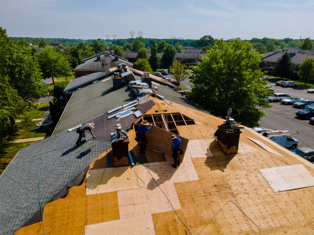 Best Roof Waterproofing Services  in Lake Camelot, IL