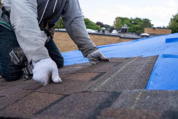 Lake Camelot, IL Roofing Contractor Company
