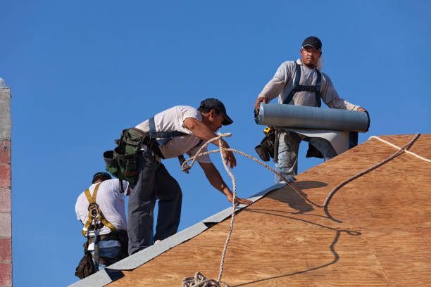 Residential Roof Replacement in Lake Camelot, IL