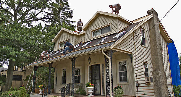 Best Flat Roof Repair Services  in Lake Camelot, IL