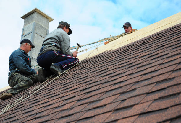 Best Roof Leak Repair  in Lake Camelot, IL